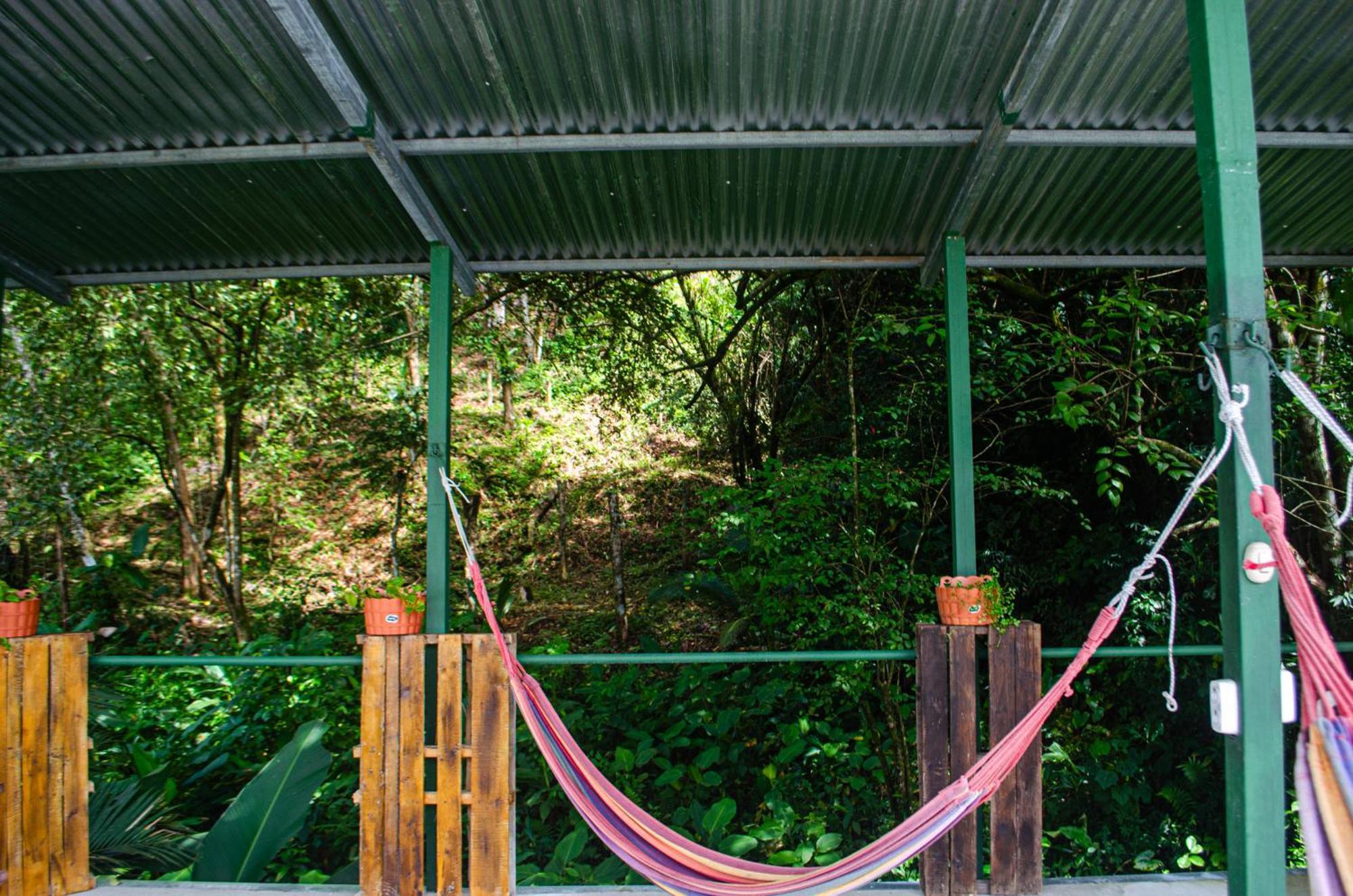 Bed and Breakfast The Jungle Container Quepos Exteriér fotografie